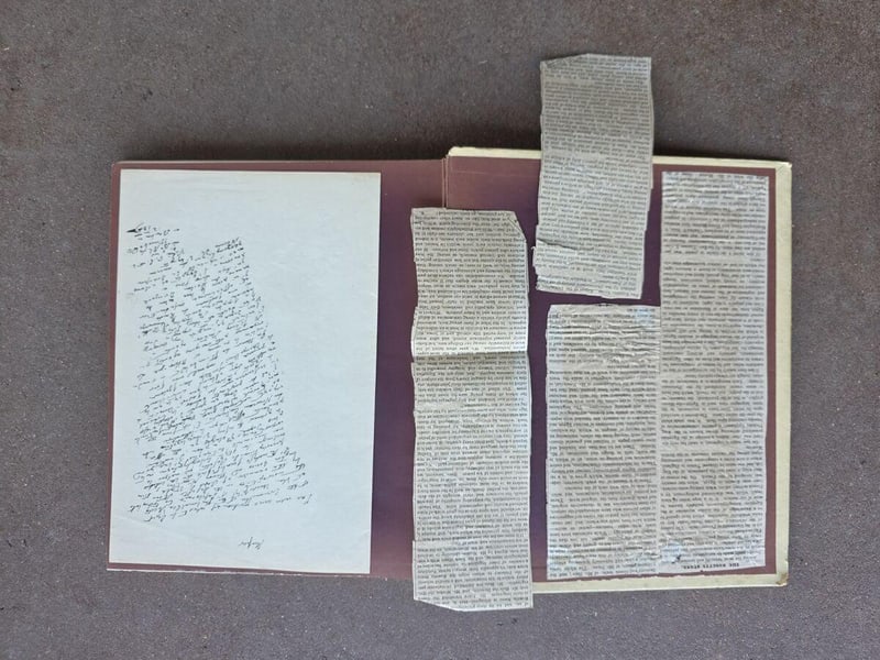 C044 mounted reviews and Humboldt material across the endpapers