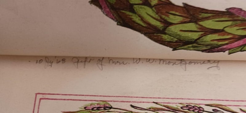 C048 July 10, 1965 Mrs. W. W. Montgomery gift notation