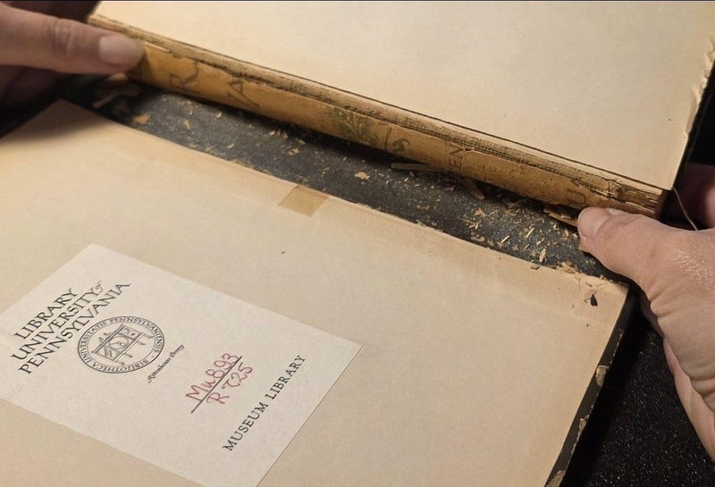 C073 spine rebacking revealing newspaper lining and Penn Museum Library bookplate