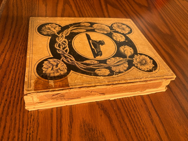 C093: Spine covering lost, exposing the spine lining