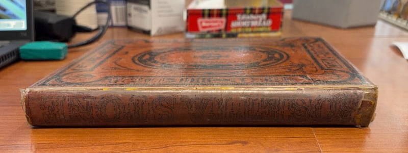 C018 Spine
